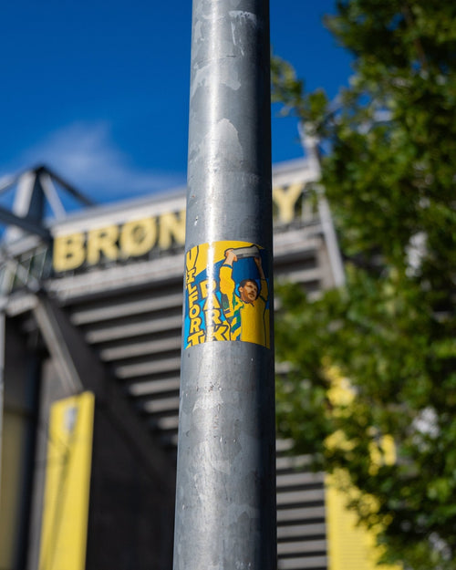 Vilfort Park - Sydsiden Brøndby